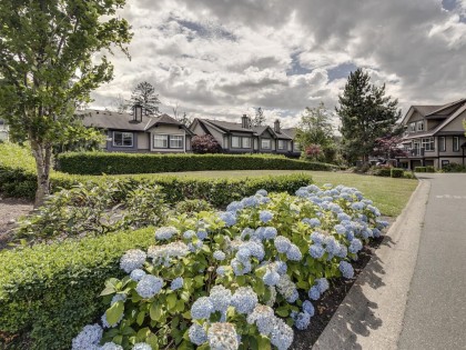 Photo 36 at 106 - 13819 232 Street, Silver Valley, Maple Ridge
