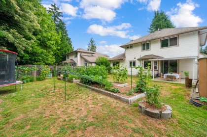 Photo 19 at 12655 228 Street, East Central, Maple Ridge