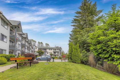 Photo 23 at 303 - 11601 227 Street, East Central, Maple Ridge