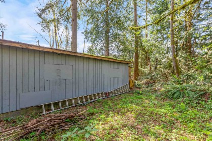 Photo 28 at 13209 232 Street, East Central, Maple Ridge