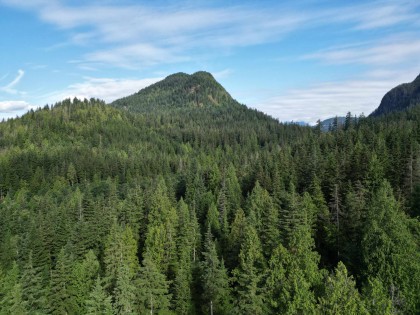 Photo 10 at 241AC Sylvester Road, Durieu, Mission