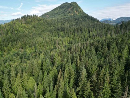 Photo 8 at 241AC Sylvester Road, Durieu, Mission