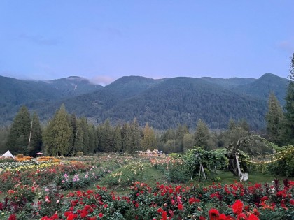 Photo 5 at 13842 Spratt Road, Durieu, Mission