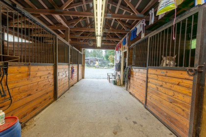 Photo 32 at 12290 252 Street, Websters Corners, Maple Ridge