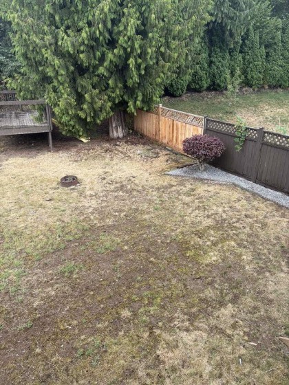 Photo 9 at 12400 Nikola Street, Central Meadows, Pitt Meadows
