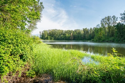 Photo 29 at 44190 Malcolm Road, Lake Errock, Mission