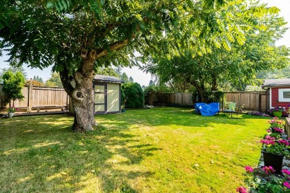 Photo 26 at 11620 210 Street, Southwest Maple Ridge, Maple Ridge