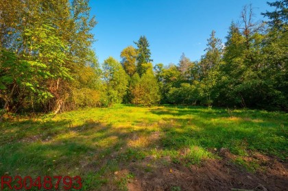 Photo 31 at 12760 232 Street, East Central, Maple Ridge