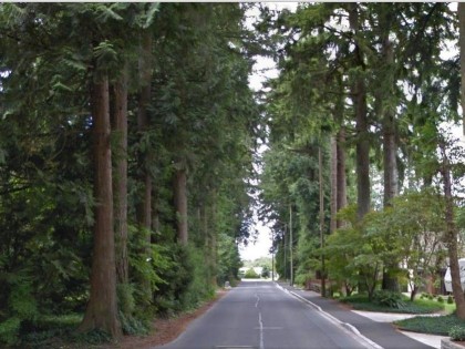 Photo 12 at 21310 124 Avenue, West Central, Maple Ridge