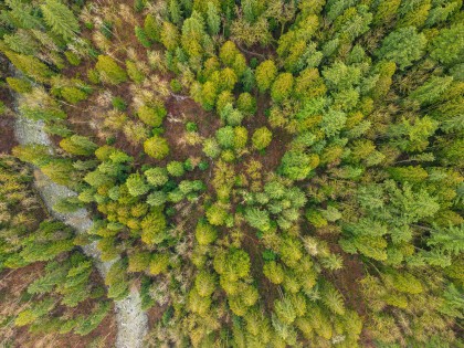 Photo 23 at 13800 236 Street, Silver Valley, Maple Ridge