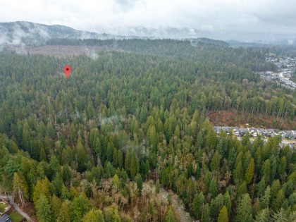 Photo 2 at 13800 236 Street, Silver Valley, Maple Ridge