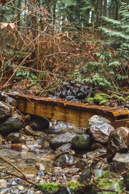 Photo 30 at 13800 236 Street, Silver Valley, Maple Ridge