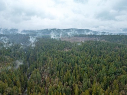 Photo 10 at 13800 236 Street, Silver Valley, Maple Ridge