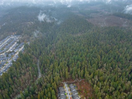 Photo 14 at 13800 236 Street, Silver Valley, Maple Ridge