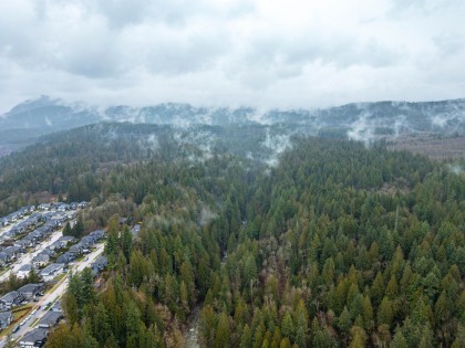 Photo 11 at 13800 236 Street, Silver Valley, Maple Ridge