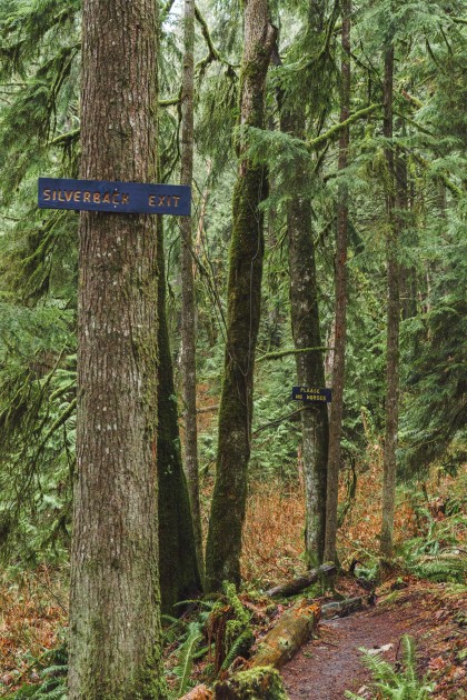 Photo 29 at 13800 236 Street, Silver Valley, Maple Ridge