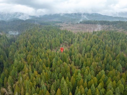 Photo 4 at 13800 236 Street, Silver Valley, Maple Ridge