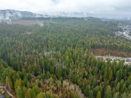 Photo 25 at 13800 236 Street, Silver Valley, Maple Ridge