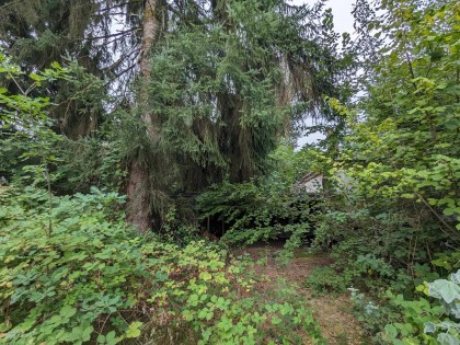 Photo 2 at 570 Prairie Avenue, Riverwood, Port Coquitlam