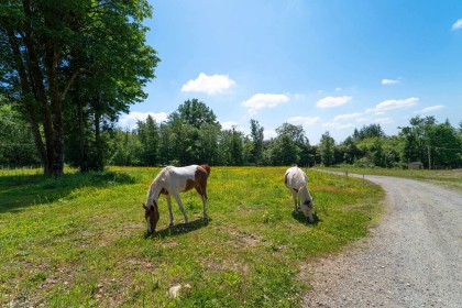 Photo 40 at 28555 104 Avenue, Whonnock, Maple Ridge
