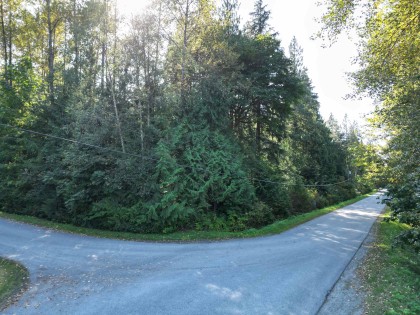 Photo 13 at Lot 5 116 Avenue, Websters Corners, Maple Ridge