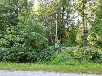 Photo 16 at Lot 5 116 Avenue, Websters Corners, Maple Ridge