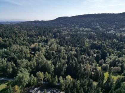 Photo 7 at Lot 5 116 Avenue, Websters Corners, Maple Ridge