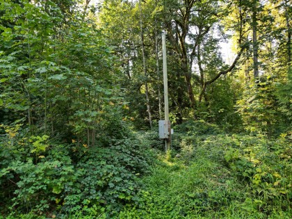 Photo 15 at Lot 5 116 Avenue, Websters Corners, Maple Ridge