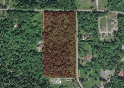 Photo 19 at Lot 5 116 Avenue, Websters Corners, Maple Ridge