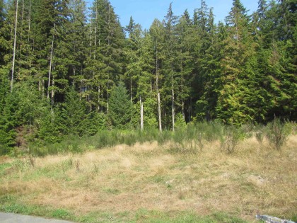 Photo 10 at 12293 Cardinal Street, Steelhead, Mission