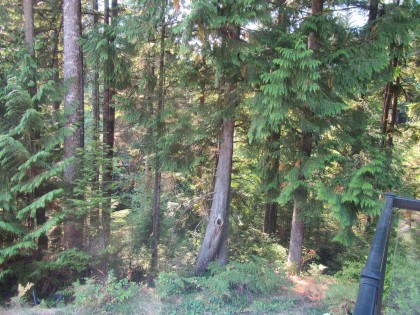 Photo 11 at 12293 Cardinal Street, Steelhead, Mission