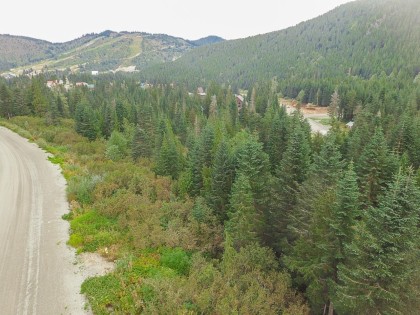 Photo 17 at 20478 Edelweiss Drive, Hemlock, Mission