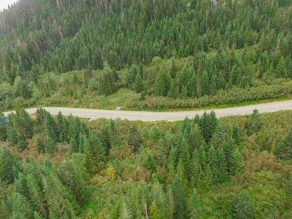 Photo 11 at 20478 Edelweiss Drive, Hemlock, Mission