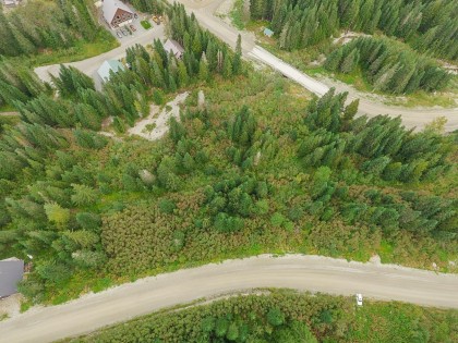 Photo 19 at 20478 Edelweiss Drive, Hemlock, Mission