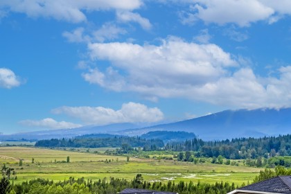 Photo 36 at 14046 Mier Drive, Silver Valley, Maple Ridge