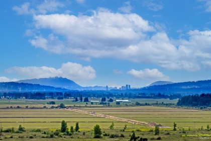 Photo 38 at 14046 Mier Drive, Silver Valley, Maple Ridge