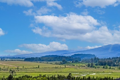 Photo 37 at 14046 Mier Drive, Silver Valley, Maple Ridge