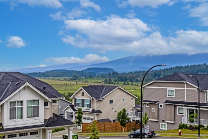 Photo 35 at 14046 Mier Drive, Silver Valley, Maple Ridge