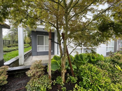 Photo 17 at 107 - 22315 122 Avenue, West Central, Maple Ridge