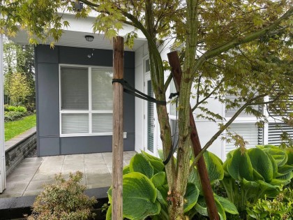 Photo 18 at 107 - 22315 122 Avenue, West Central, Maple Ridge