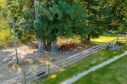 Photo 32 at 43699 Ohman Road, Lake Errock, Mission