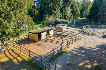 Photo 31 at 43699 Ohman Road, Lake Errock, Mission