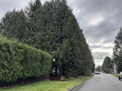 Photo 2 at 1791 Langan Avenue, Central Pt Coquitlam, Port Coquitlam