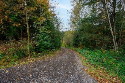 Photo 20 at 12930 Sabo Street, Steelhead, Mission