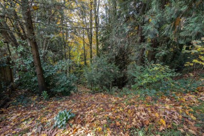 Photo 32 at 32410 Diamond Avenue, Mission BC, Mission