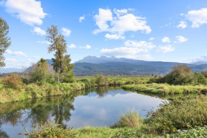 Photo 39 at 13540 Neaves Road, North Maple Ridge, Maple Ridge