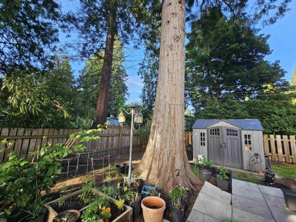 Photo 27 at 3 - 21091 Lougheed Highway, Southwest Maple Ridge, Maple Ridge