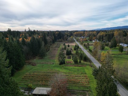 Photo 36 at 25908 124 Avenue, Websters Corners, Maple Ridge