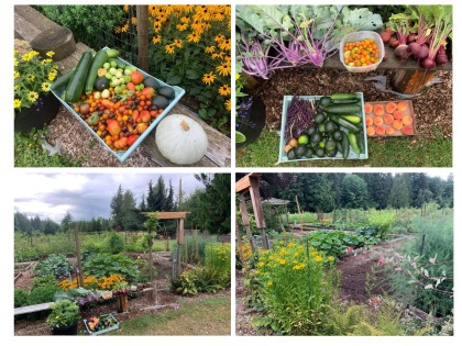 Photo 32 at 25908 124 Avenue, Websters Corners, Maple Ridge