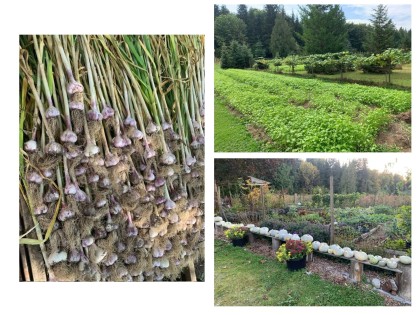 Photo 33 at 25908 124 Avenue, Websters Corners, Maple Ridge